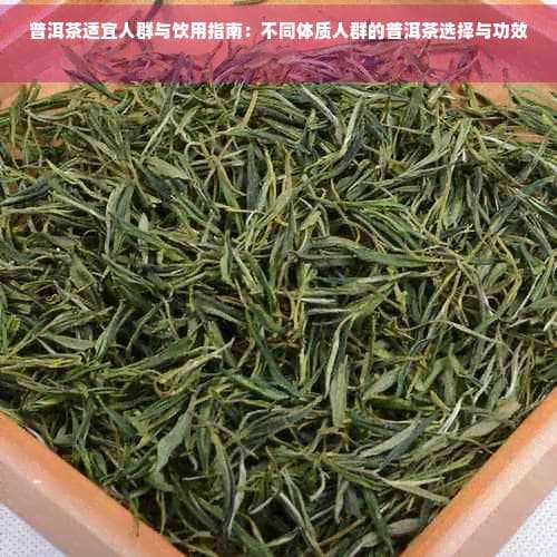 普洱茶适宜人群与饮用指南：不同体质人群的普洱茶选择与功效解析