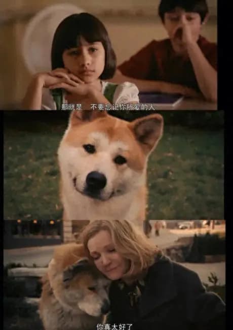 《忠犬八公的故事》：跨越国界的爱与忠诚