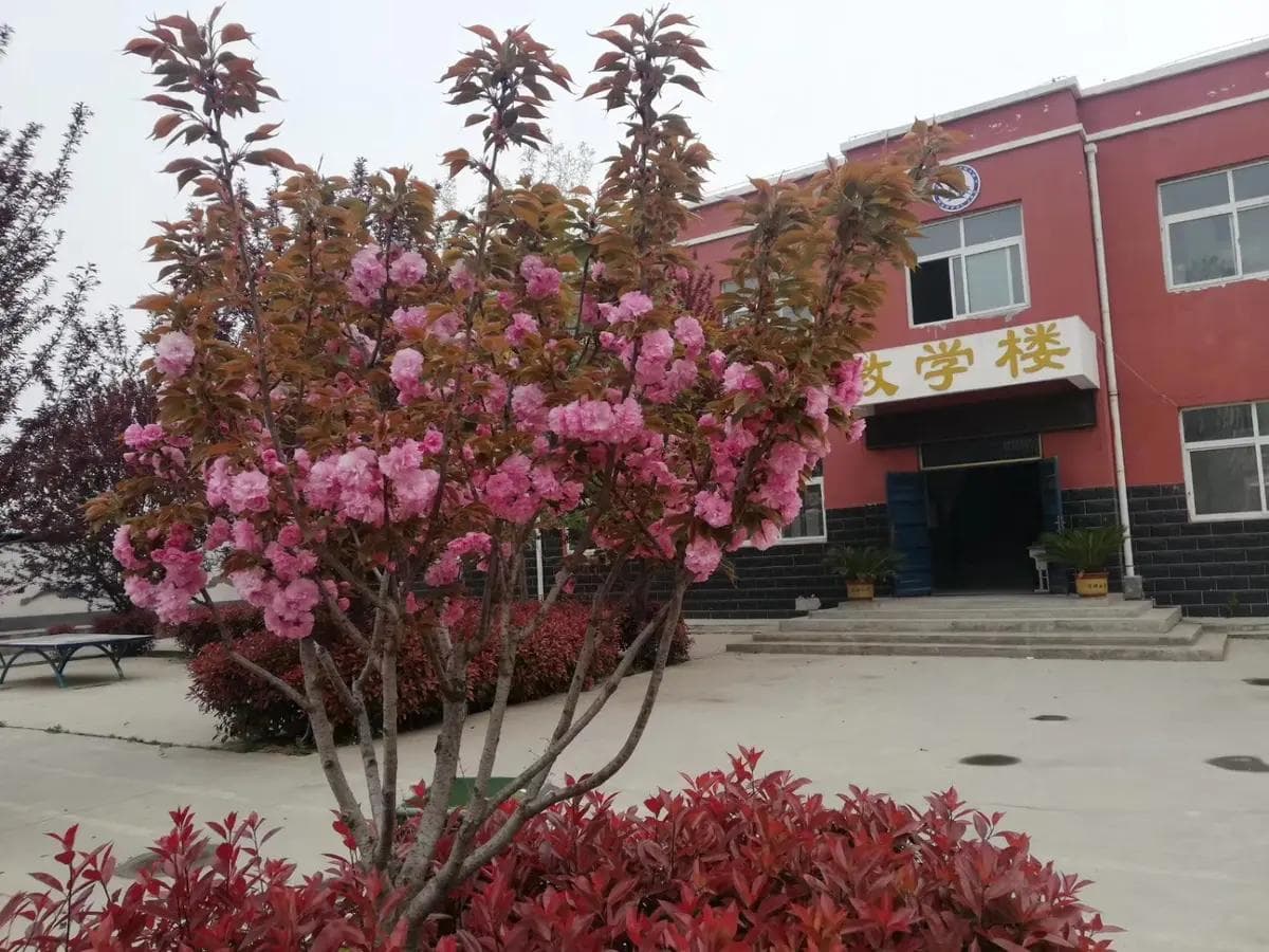 如何对小学生进行生命教育？