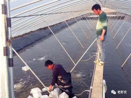 大棚养殖如何控制水质？水温？