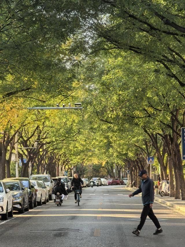 秋游南京路：两天邂逅上海的过去与现在