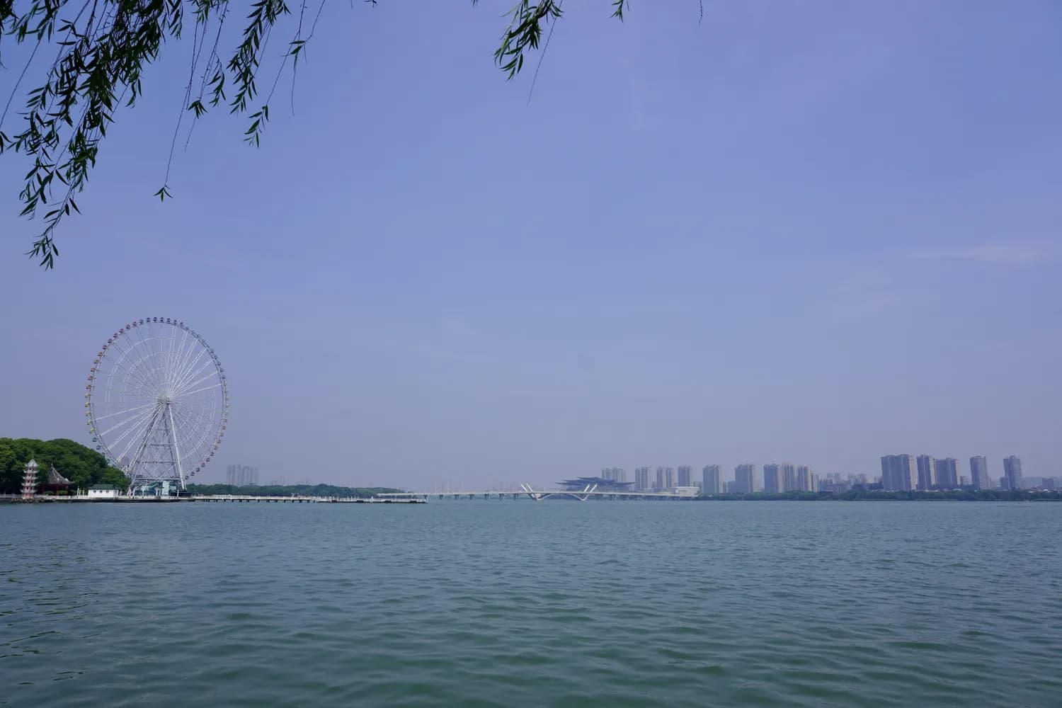 范蠡湖公园：周末踏青赏花的绝佳去处