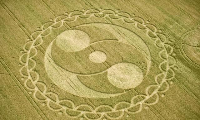 麦田怪圈：是恶作剧、自然现象还是外星人的杰作？真相即将揭晓！