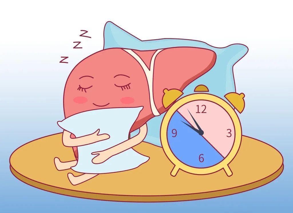 最简单的养肝方法是睡觉！如何通过睡眠来养肝？