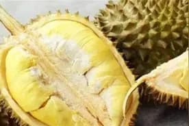 榴莲怎么判断生熟？一文教你挑选优质榴莲