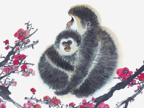 属猴人一生的健康状况与命运解析