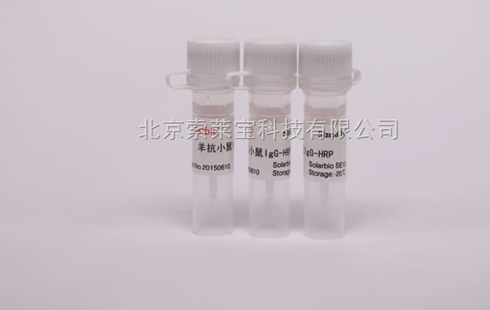 保持FITC荧光标记抗体完整性：存储和操作建议