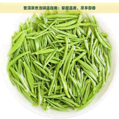 普洱茶煮泡锅温指南：掌握温度，尽享醇香