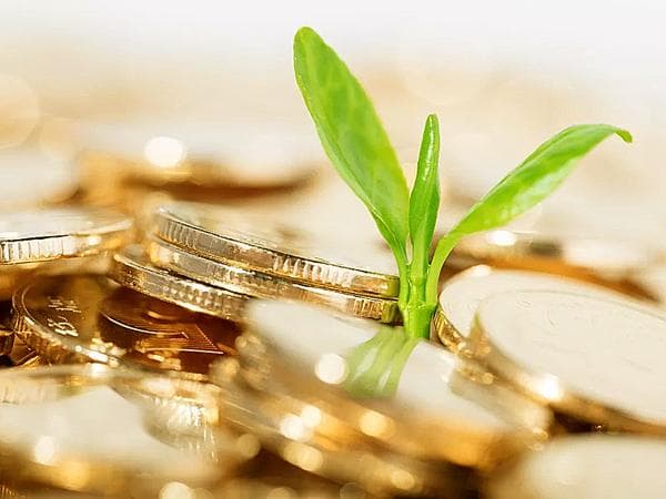 家族办公室：管理家族财富、企业和成员的超级工具