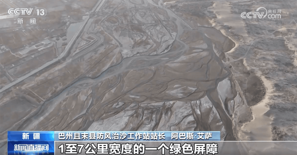 从“锁边”向“扩边”发展 创新治理模式为防沙治沙“植”此青绿