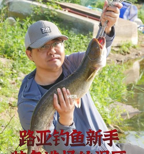 新手钓鱼入门指南（了解基本装备和技巧）