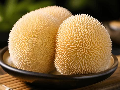 猴头菇：山珍之王的营养价值与美味烹饪