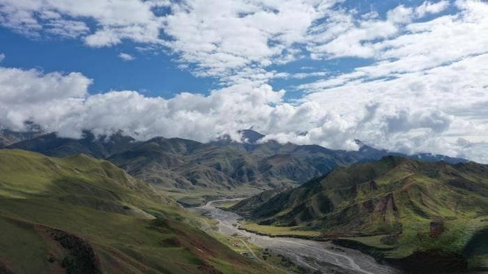 青海法院发布五起典型案例，守护祁连山生态环境