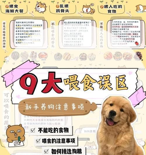 如何进行狗狗的年龄段体检？（全攻略帮助你照顾宠物）