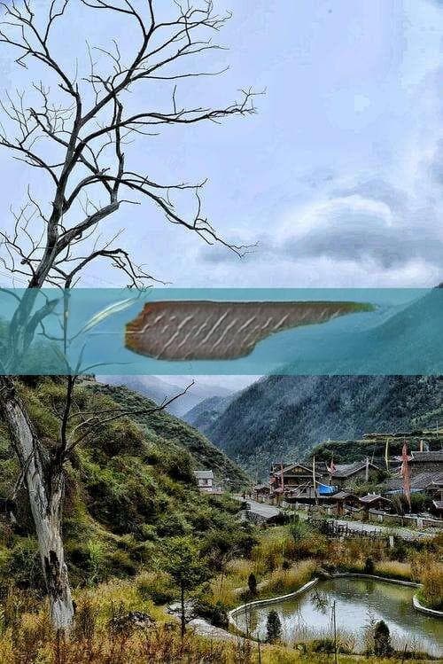 探索秋天的林芝：绝美风景与旅行全攻略