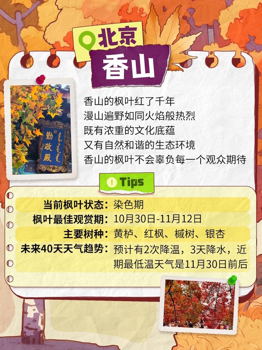 秋意浓，枫叶红，全国赏枫胜地指南