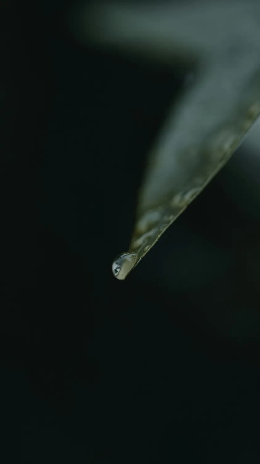 小葱上的蓝色物质是什么？这样清洗最安全