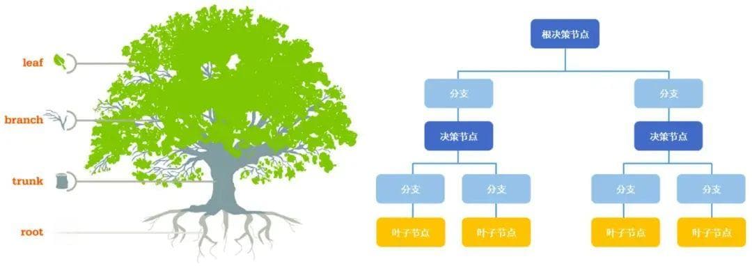 金融风险评估中的决策树模型：应用、效果与案例分析