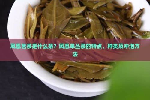 凤凰茗茶：乌龙茶中的璀璨明珠