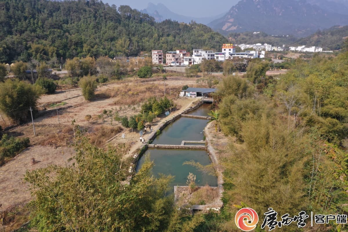 巧借山泉水 养出“生态鱼”