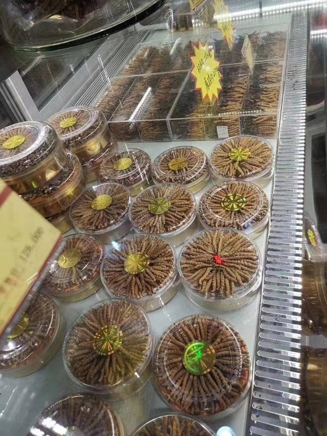 抗癌神药？从科学的角度谈谈冬虫夏草的疗效