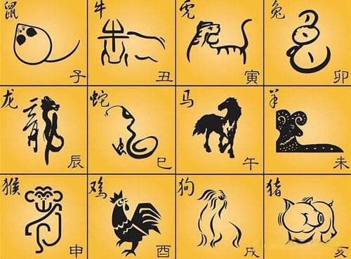 天生“凤凰命”的四位生肖女，虽相貌平凡，但旺子、旺夫，更旺财