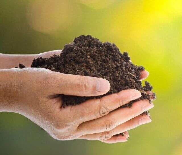 有机肥怎么制作？这3种方法简单又实用