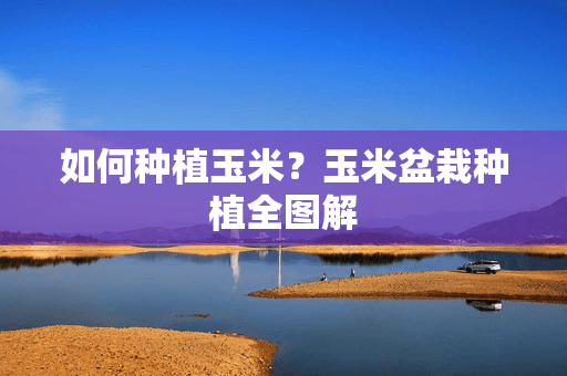 如何种植玉米？玉米盆栽种植全图解