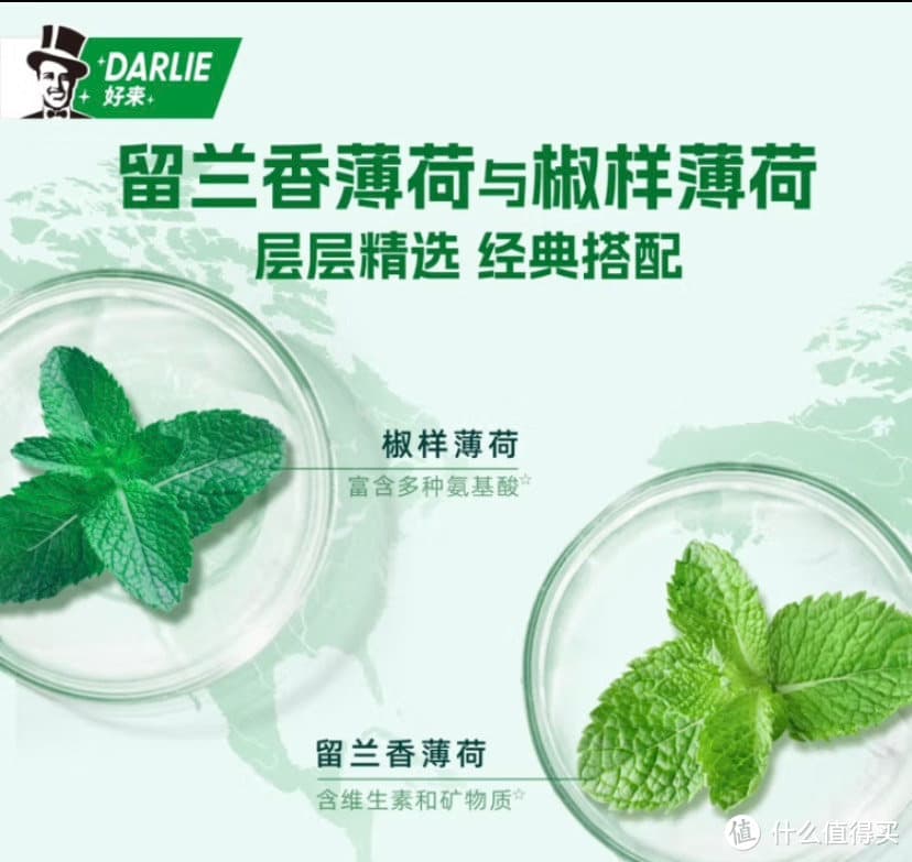揭秘牙膏：选购攻略与产品对比评测