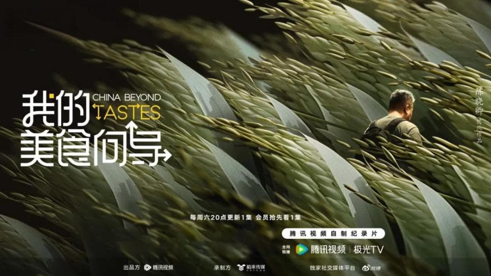 寻美食万千，《我的美食向导》开启风味探索之旅