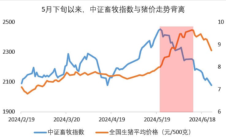 九大机构观点合集：生猪供应端实质性下滑，本轮高猪价有望持续至2025年