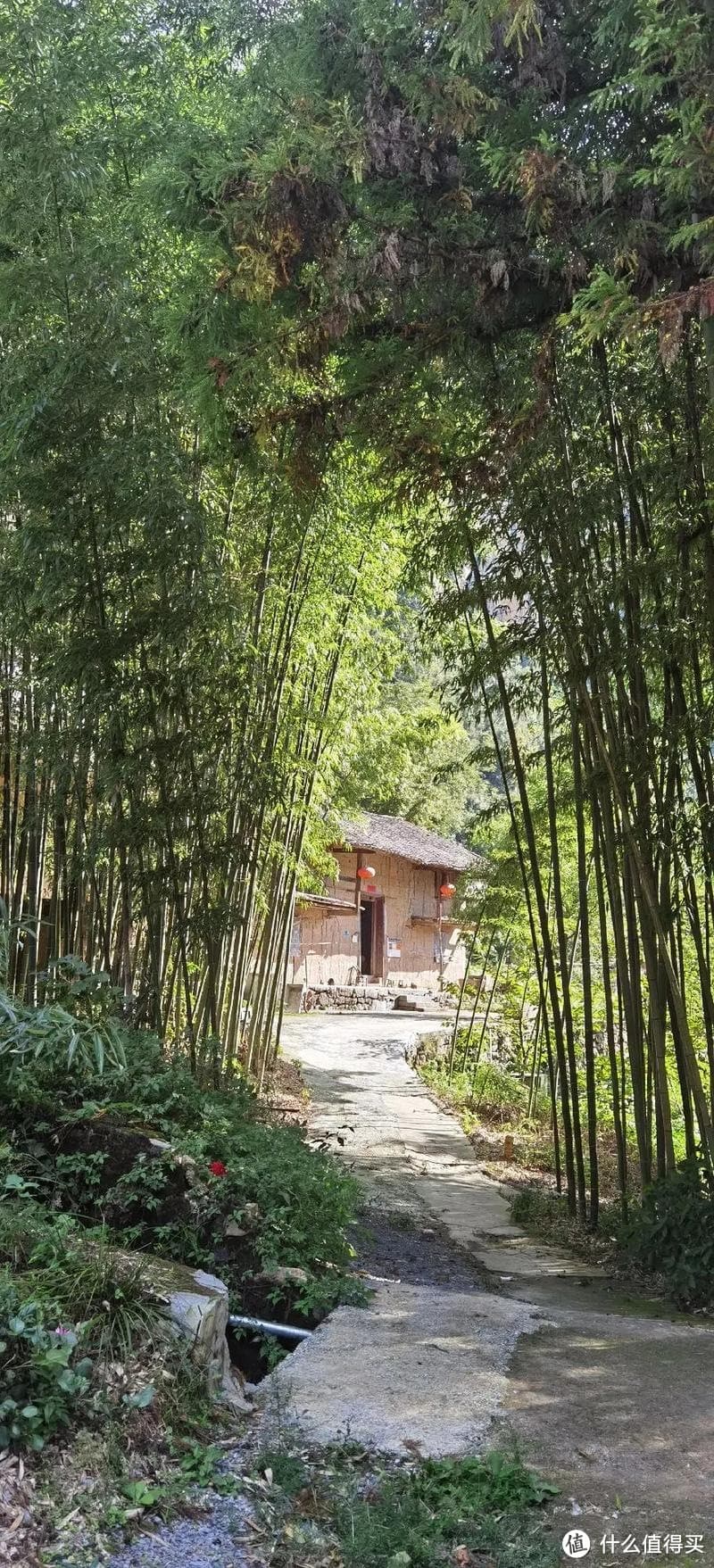 休息的艺术：探索高效休息的新方法
