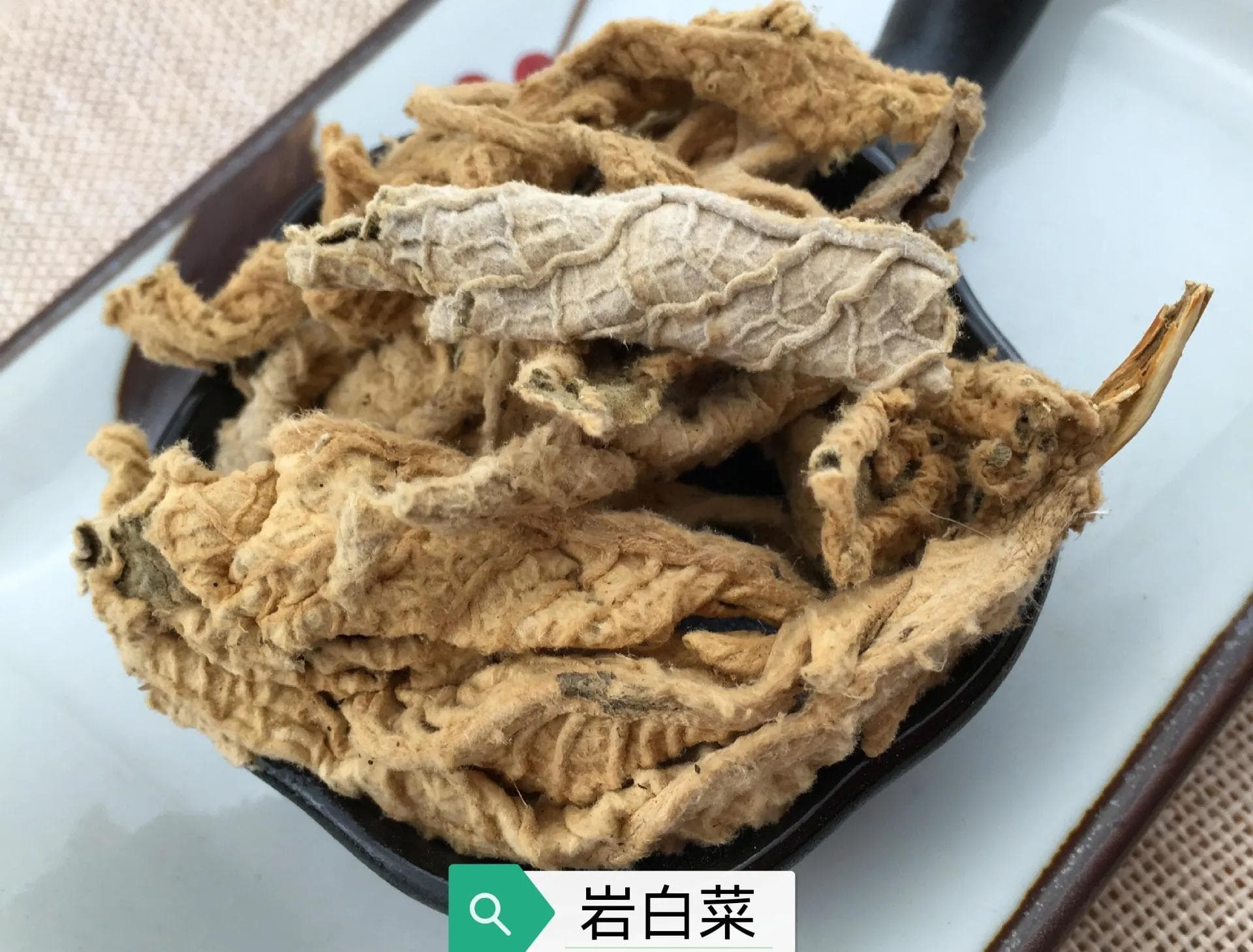 中药古今研究：岩白菜