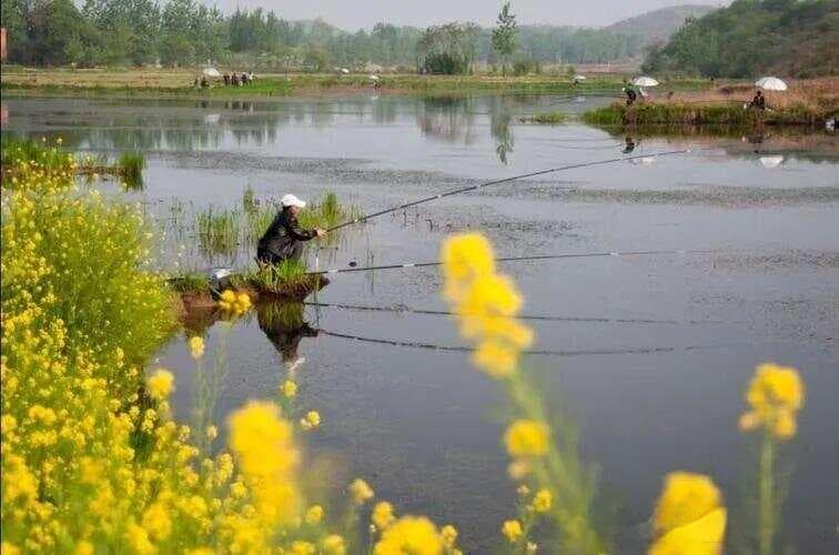 一年四季，除了冬季都是钓鱼的好季节