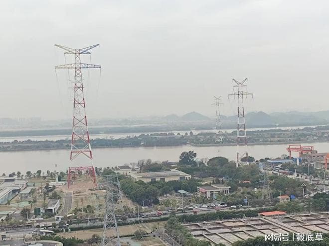 知来：21世纪的脑科学与工作生活