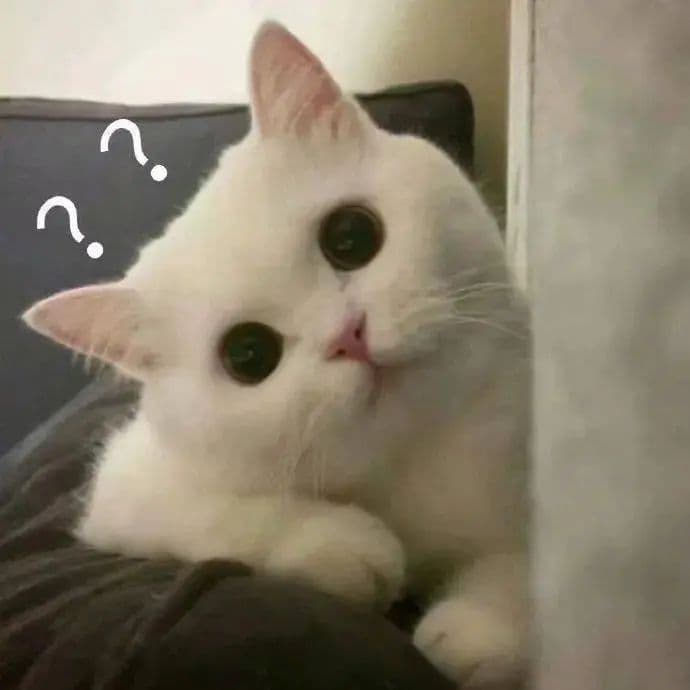 小区电梯伤人 责任由谁负？
