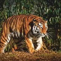 什么是边际成本？概念、原理与应用全解析