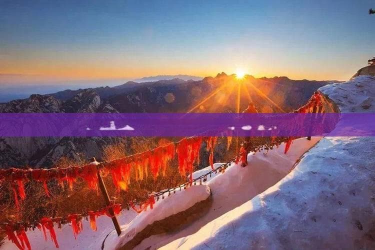 海南三亚旅游主题：特色旅游线路与主题活动全解析