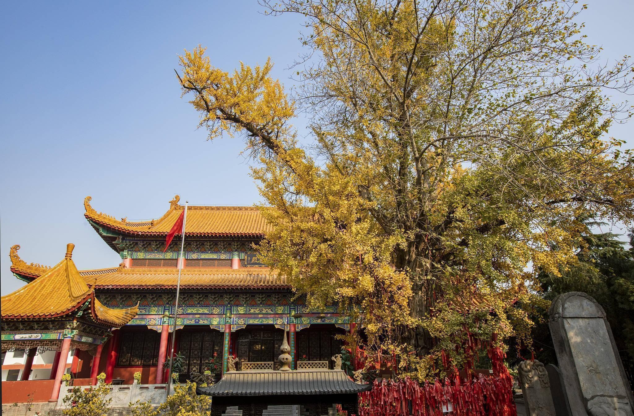 漯河十大热门旅游景点深度解读：从自然风光到历史文化