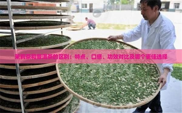 茉莉茶与普洱茶：制作工艺、口感与功效全解析