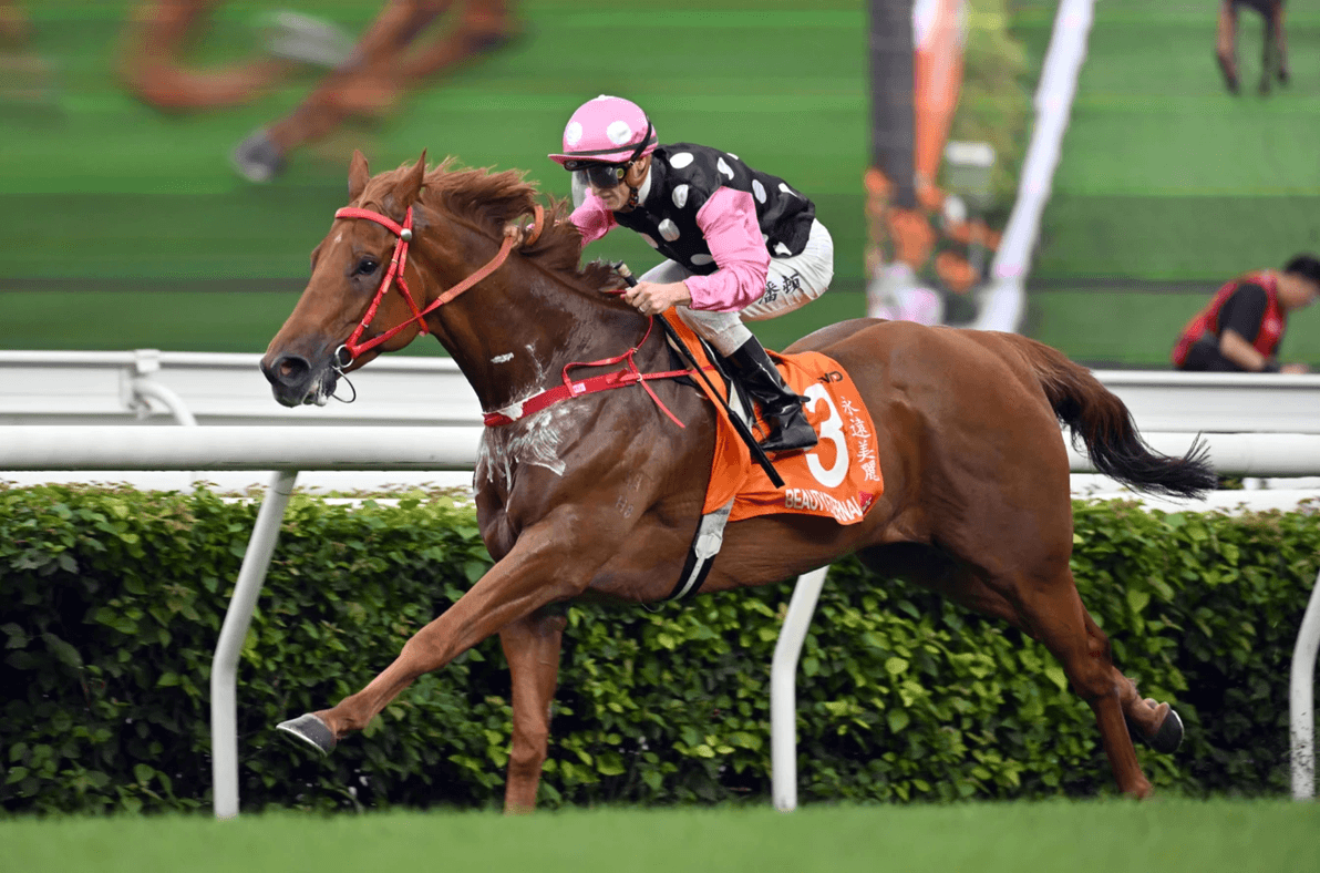 香港赛马以佳绩照亮雨天，下赛季G1奖金再创新高