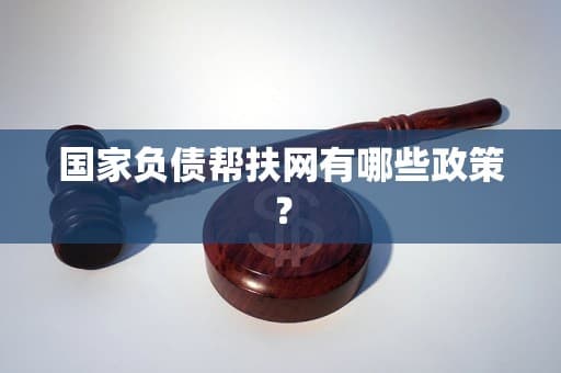 国家负债帮扶网：构建多层次债务风险防控体系