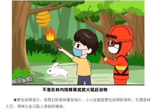 我们为森林做哪些好事？我们如何守护绿色的家园：为森林做出的善举！