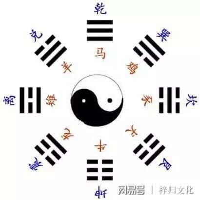 八卦：乾、坤、震、巽、坎 代表的天地自然现象、动物现象及运动状态