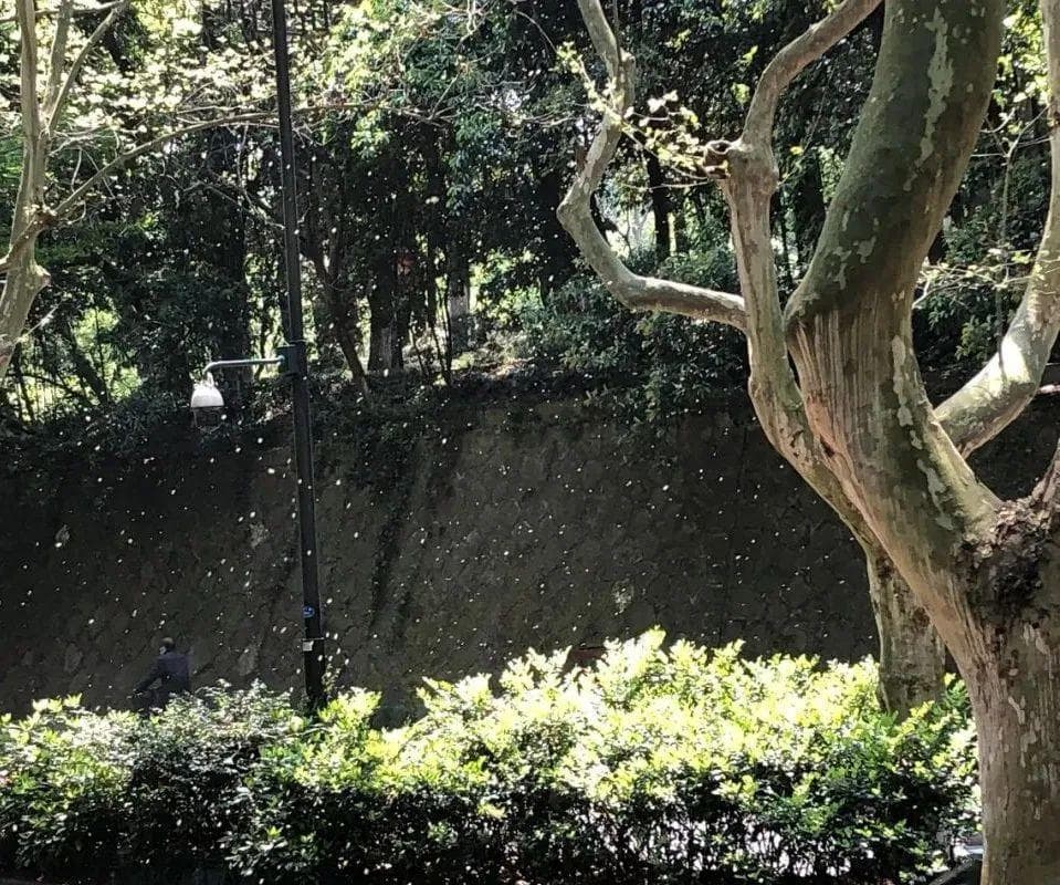 热搜第一！这款“救命药”突然火了，医生提醒→