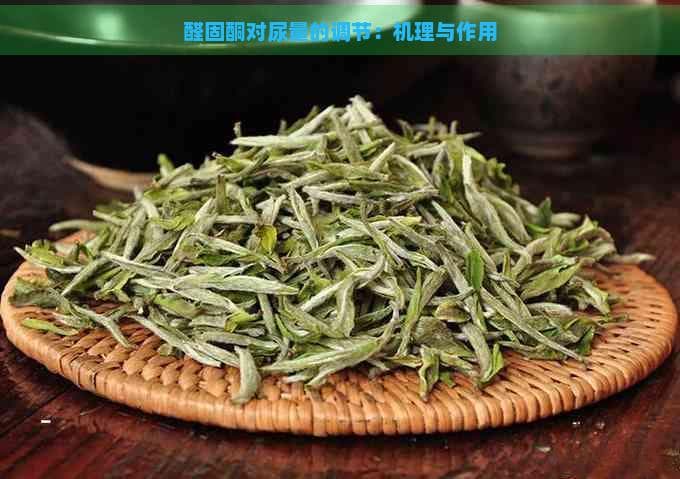 醛固酮对尿量的调节：机理与作用