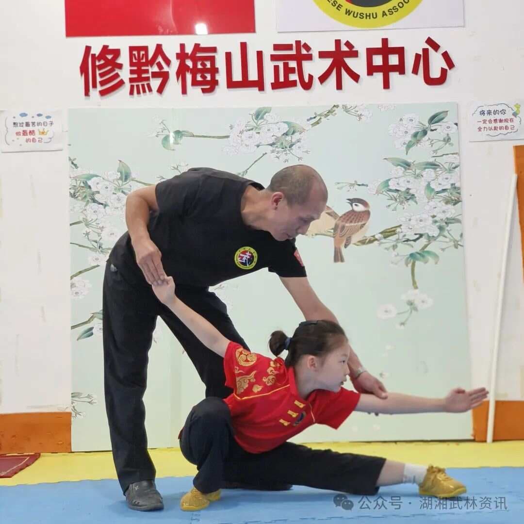 五步拳：中国武术入门基础套路详解