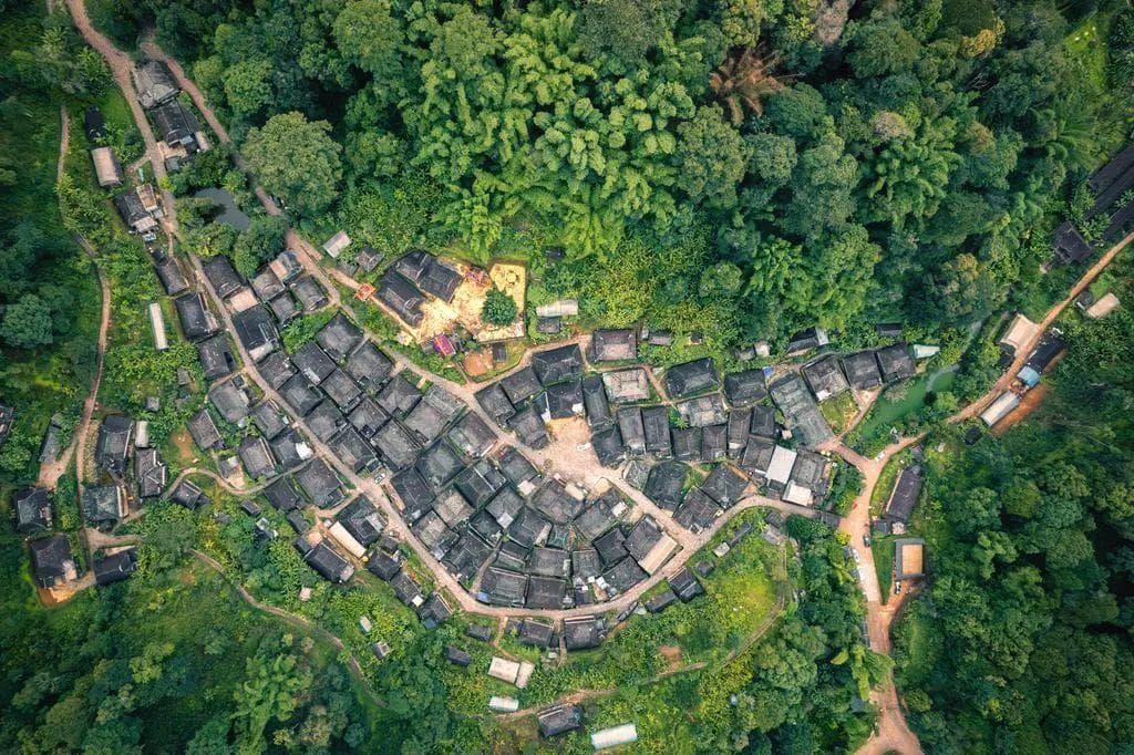 一年之“山”——景迈山申遗成功一周年系列报道（下）