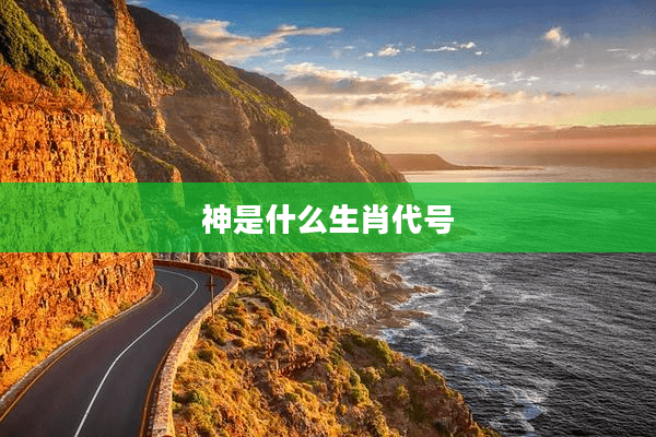 神是什么生肖代号