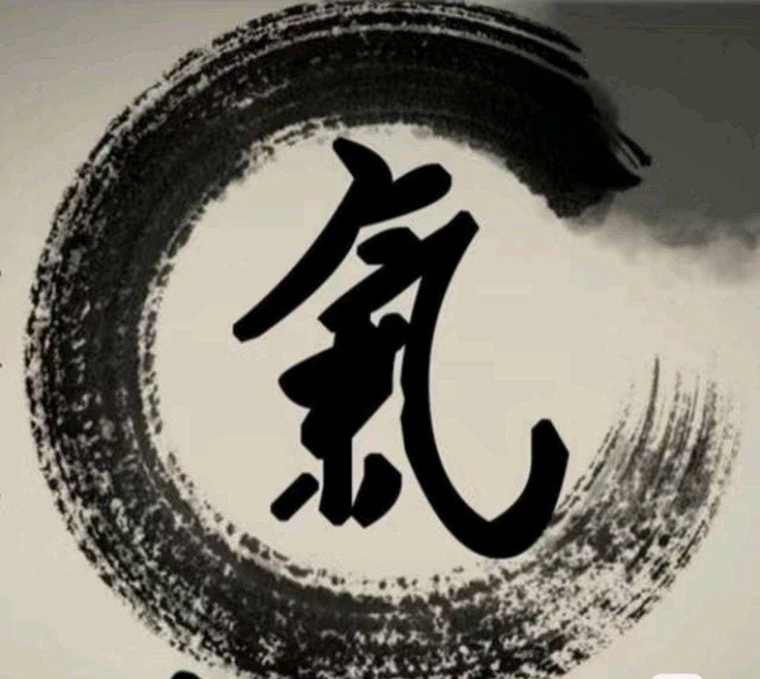 中医讲：精气血津液之气